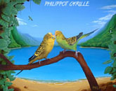 Australian budgerigars - Air Brush