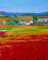 Poppy in Provence